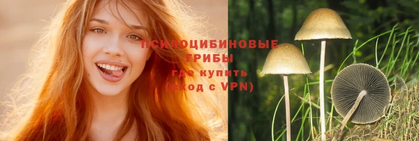 прущие крисы Беломорск