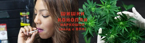 прущие крисы Белокуриха