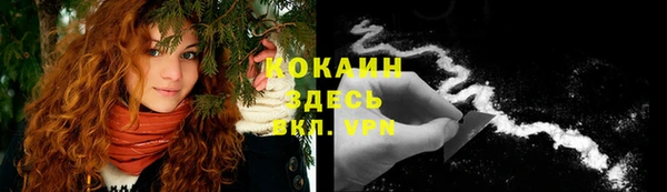 прущие крисы Беломорск