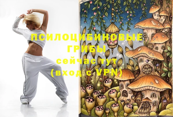 прущие крисы Белокуриха