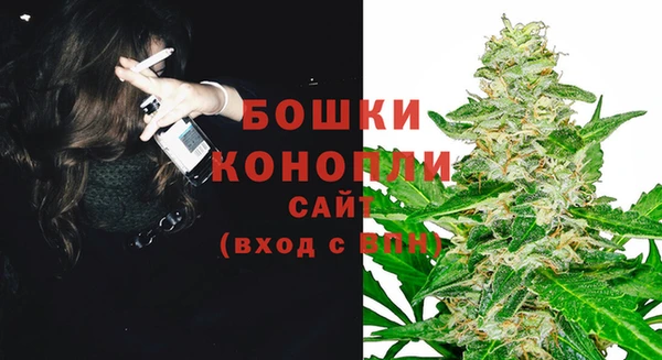 прущие крисы Белокуриха