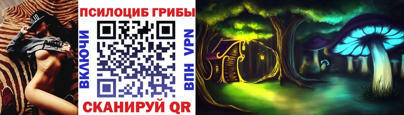 Галлюциногенные грибы GOLDEN TEACHER  MEGA как зайти  Тулун 